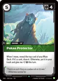 Pakaa Protector