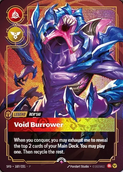 Void Burrower
