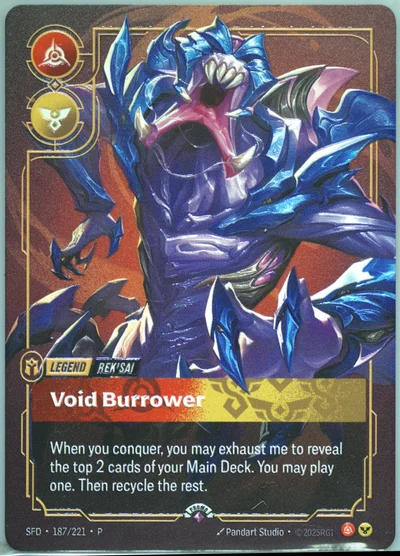 Void Burrower