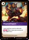 Disposal Expert