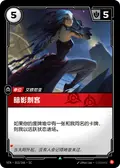 Shadow Assassin