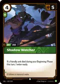 Shadow Watcher