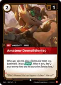 Amateur Demolitionist